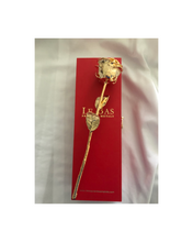 Load image into Gallery viewer, real rose encased in 24carat gold
